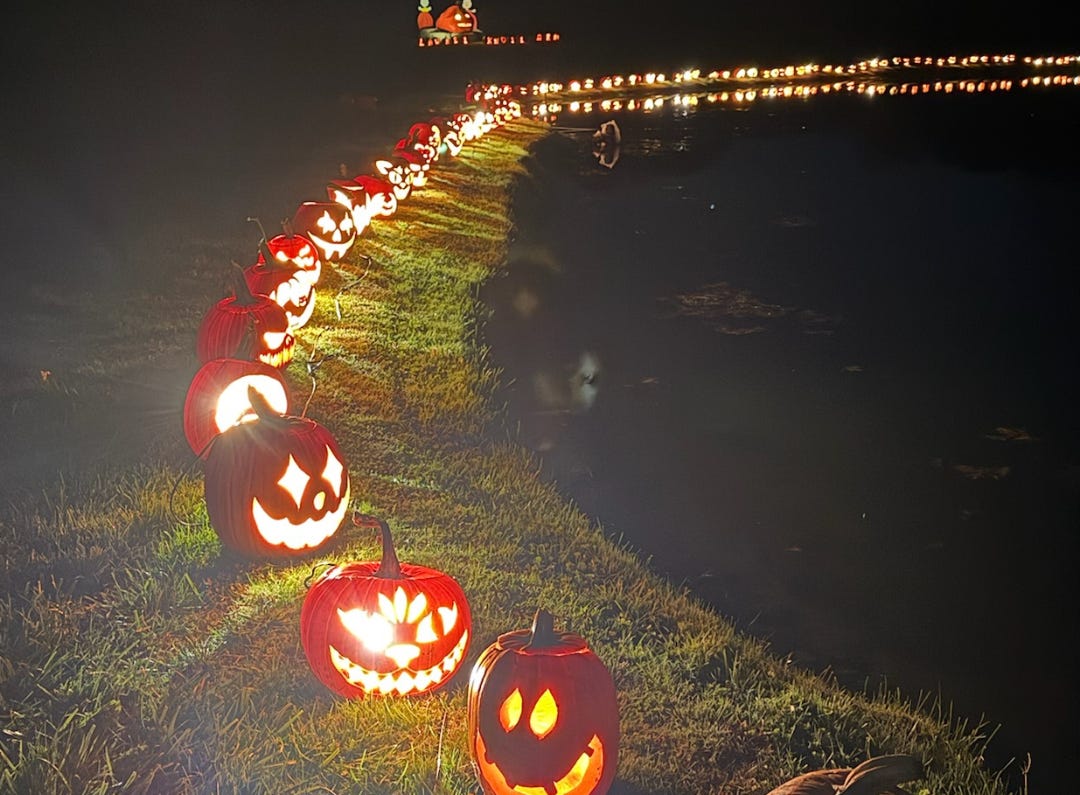 A long row of carved jack-o'-lanterns glowing at night, lined along the edge of a grassy path next to a body of water, with their reflections faintly visible. The pumpkins display a variety of smiling and spooky faces, stretching into the distance.
