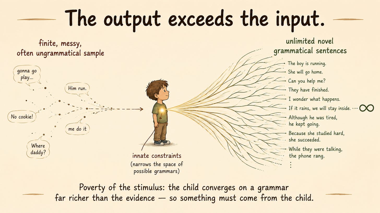 A diagram of an asymmetry. On the left, a thin broken trickle of input ("finite, messy, often ungrammatical sample") flows to a small child figure. On the right, an enormous endless fan-out of well-formed sentence structures ("unlimited novel grammatical sentences") branches toward an infinity symbol. Inside the child, a small node labeled "innate constraints (narrows the space of possible grammars)."