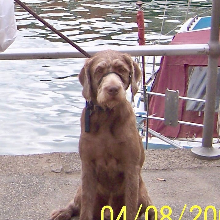 Psychology of a Climate Crisis