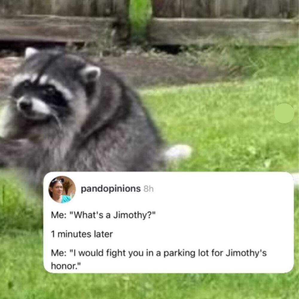 Meet Jimothy, the Deformed Little Raccoon the Internet Has Turned Into its  Favorite New Meme | Cracked.com