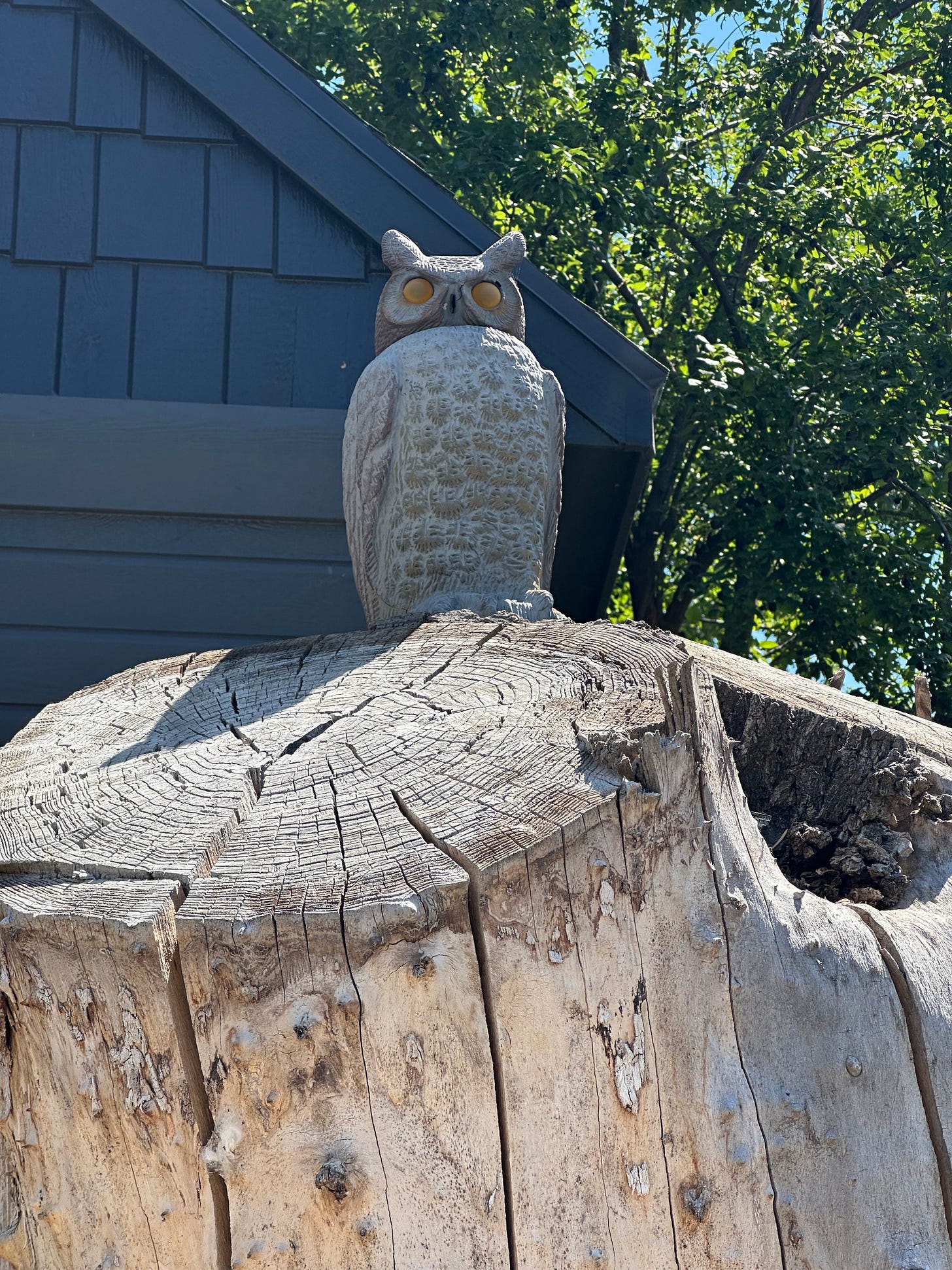 A concrete owl mounted on a dead tree.