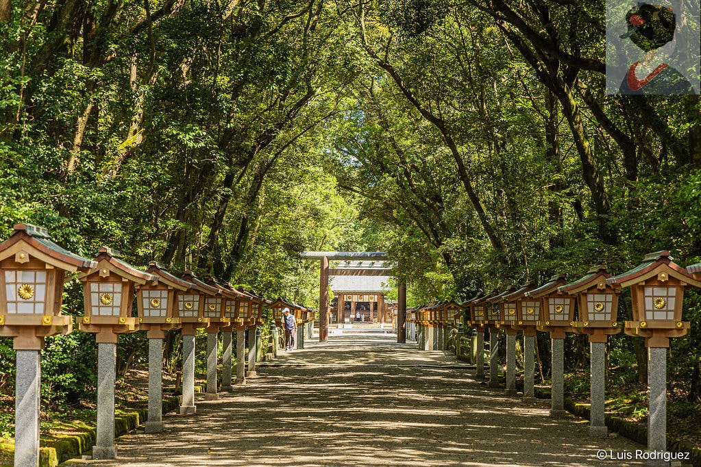 Camino de acceso al santuario de Miyazaki