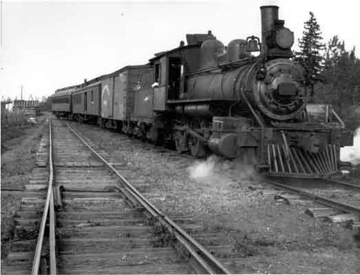 An early twentieth century locomotive on railroad tracks in a very young forest.