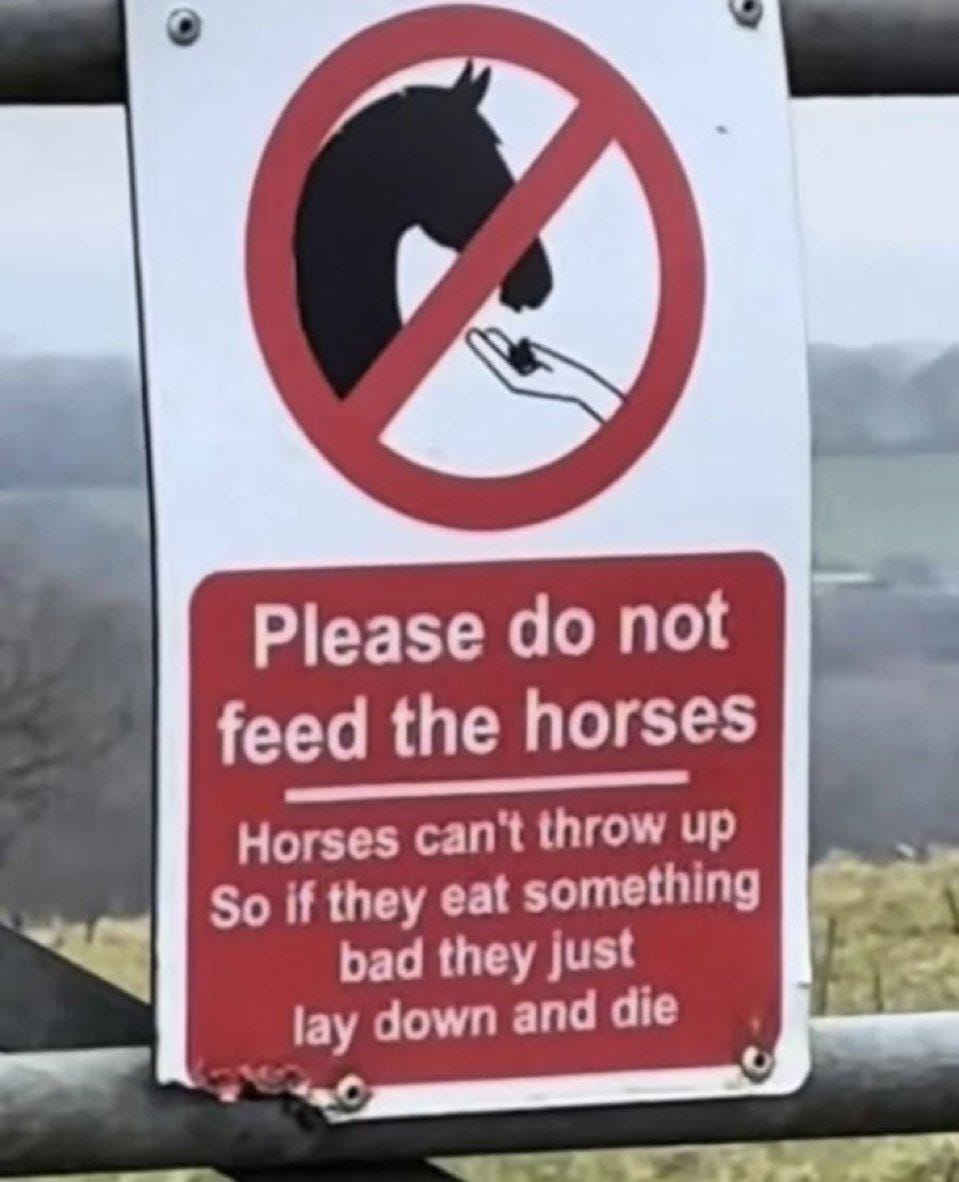 Aluminum Sign Horses Can't Throw Up "Please Do Not Feed The Horses" Safety  Sign – 3mm Aluminium, 400x300mm, Explains Horses Can't Vomit, For Fences &  Gates