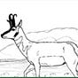 The Wildlife News's avatar