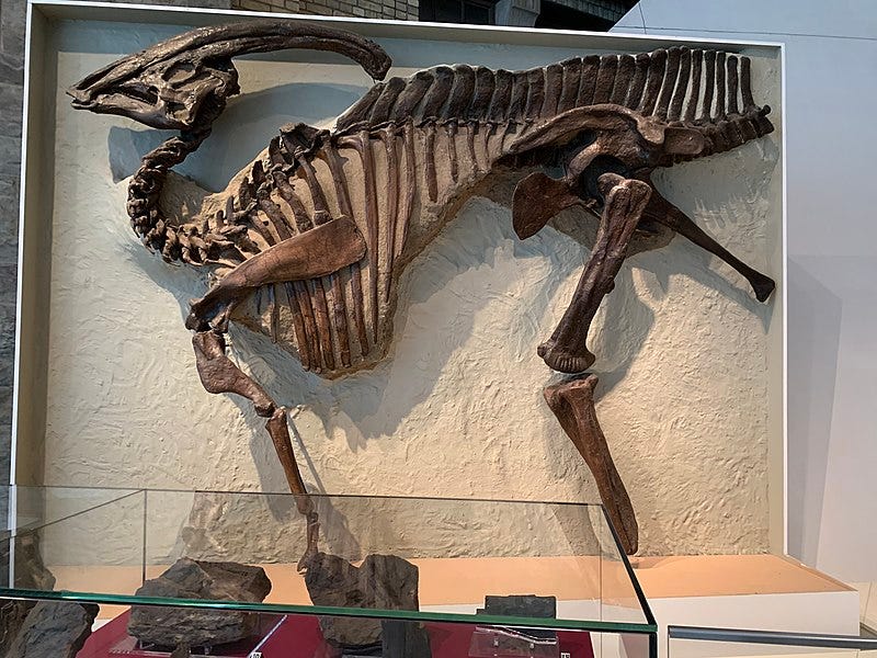File:ROM 768.jpg