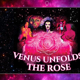 WELCOME TO VENUS