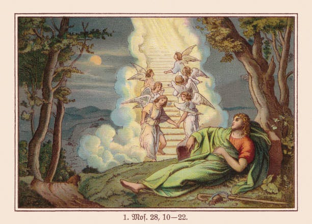 No photo description available.