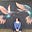 Suzu's avatar