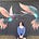 Suzu's avatar