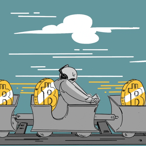 bitcoin rollercoaster gif