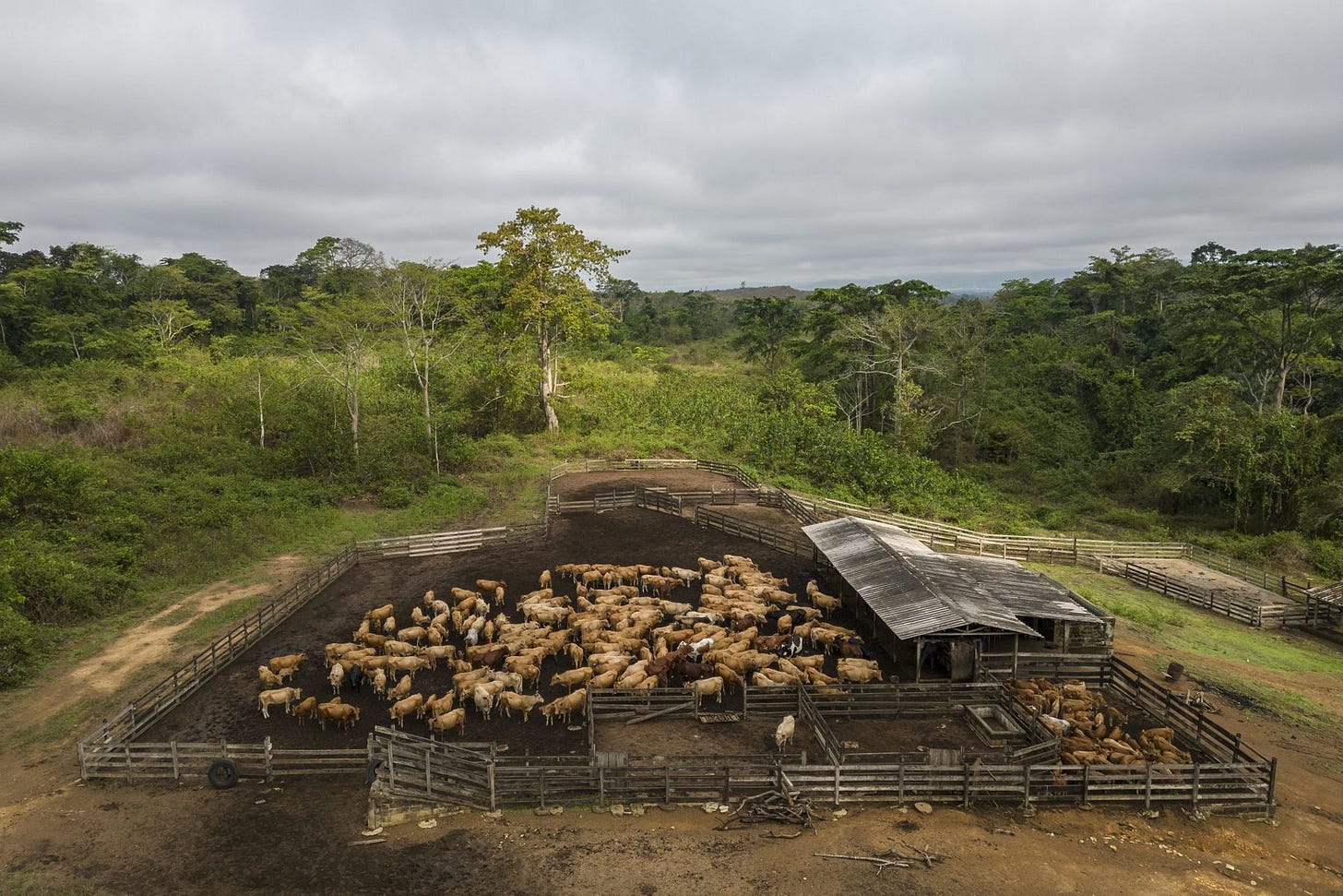 1800x-1_8.jpg 1800x-1_8.jpg