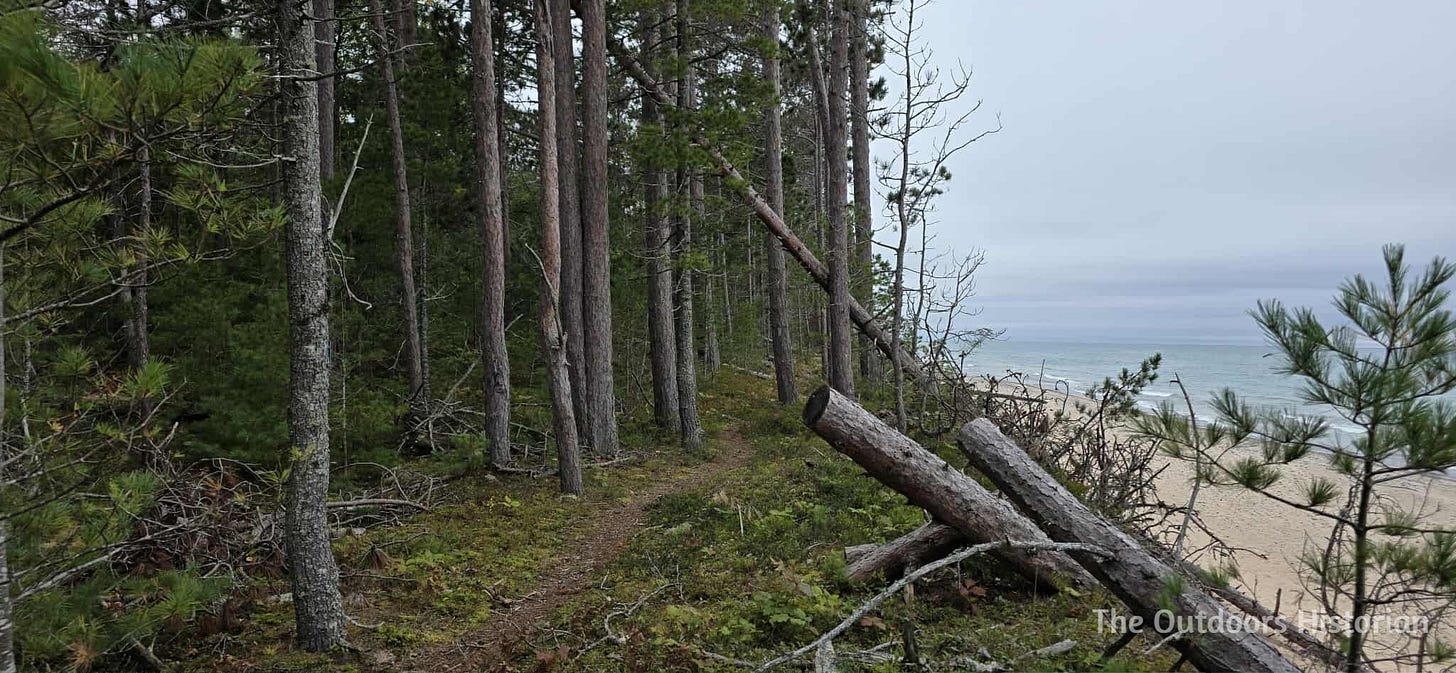 A foot path through pine trees on a bluff above a beach along Lake Superior.