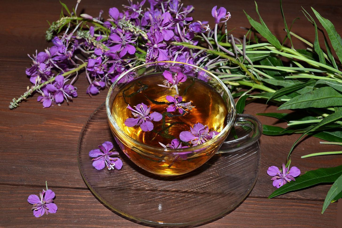 5 steps preparation and fermentation of fireweed