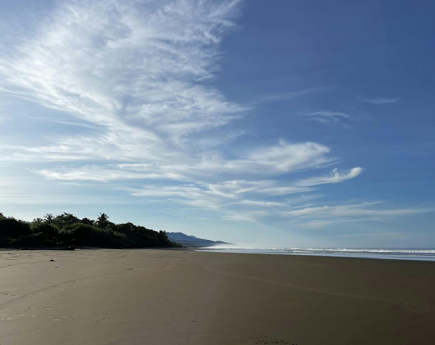 037: Loving What You Have, Having What You Love! 037: Loving What You Have, Having What You Love!