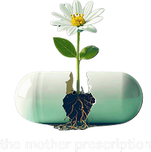 the mother prescription