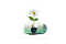 the mother prescription