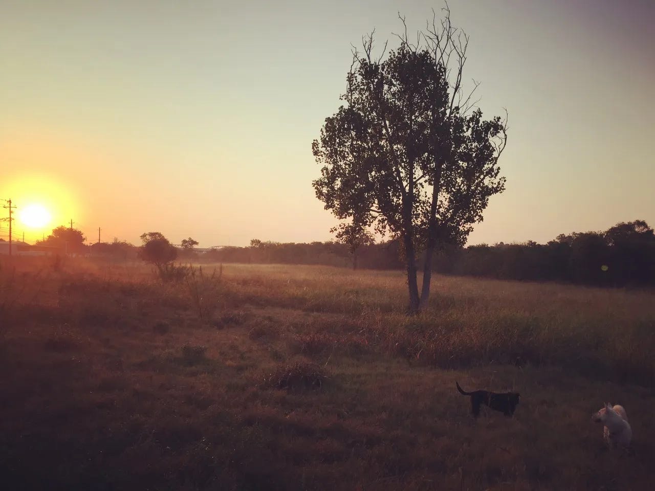 Sunrise over empty lot
