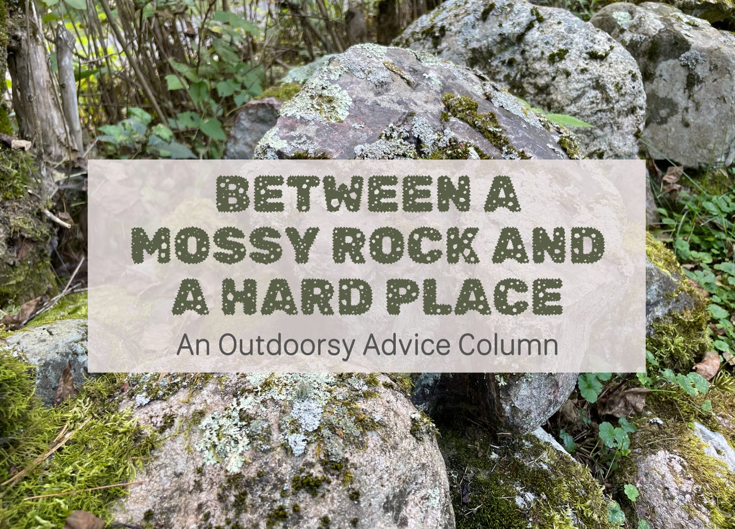 Between A Mossy Rock & A Hard Place: An Outdoorsy Advice Column