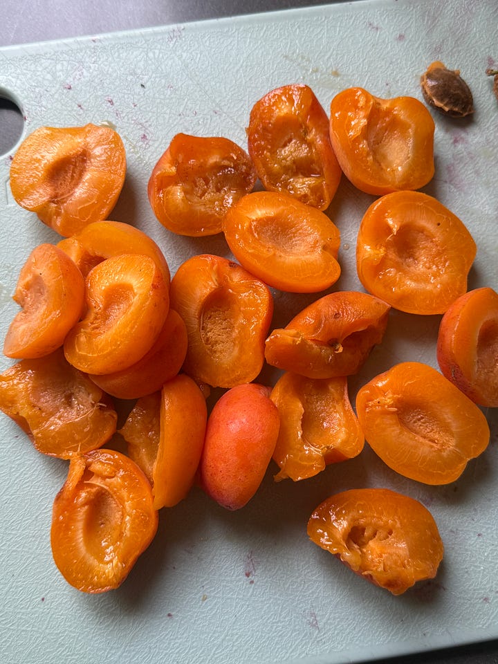 Prepping fruits for cherry apricot jam