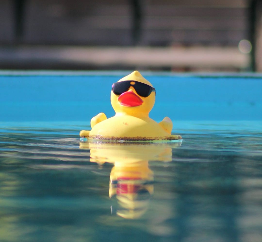a rubber duck wearing sunglasses floating in a pool