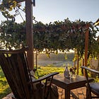 Vin (Jin) de Casă - Moldovan House Wine