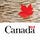 X avatar for @Safety_Canada