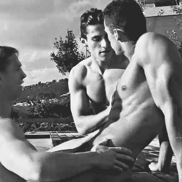 TTQ | The Triangle’s Quadrature 