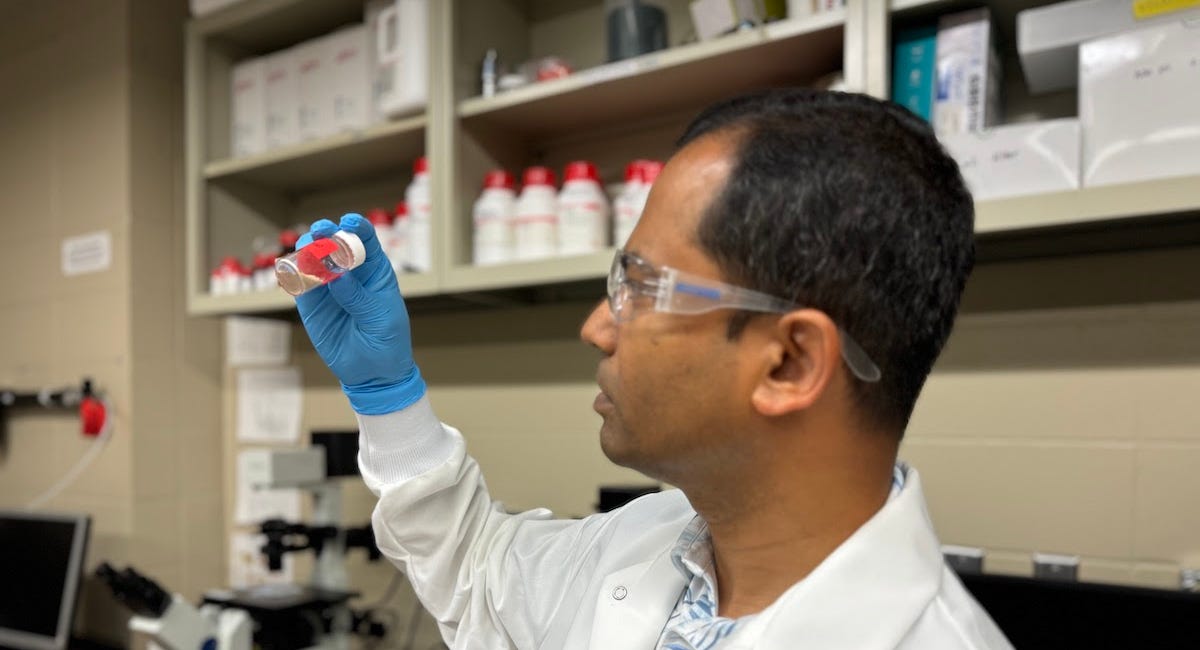 SDSU-conceived ‘smart glue’ could help millions skip surgery for torn tendons