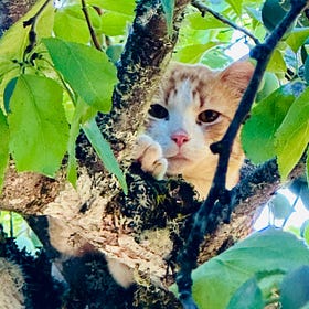 In defense of getting dumped