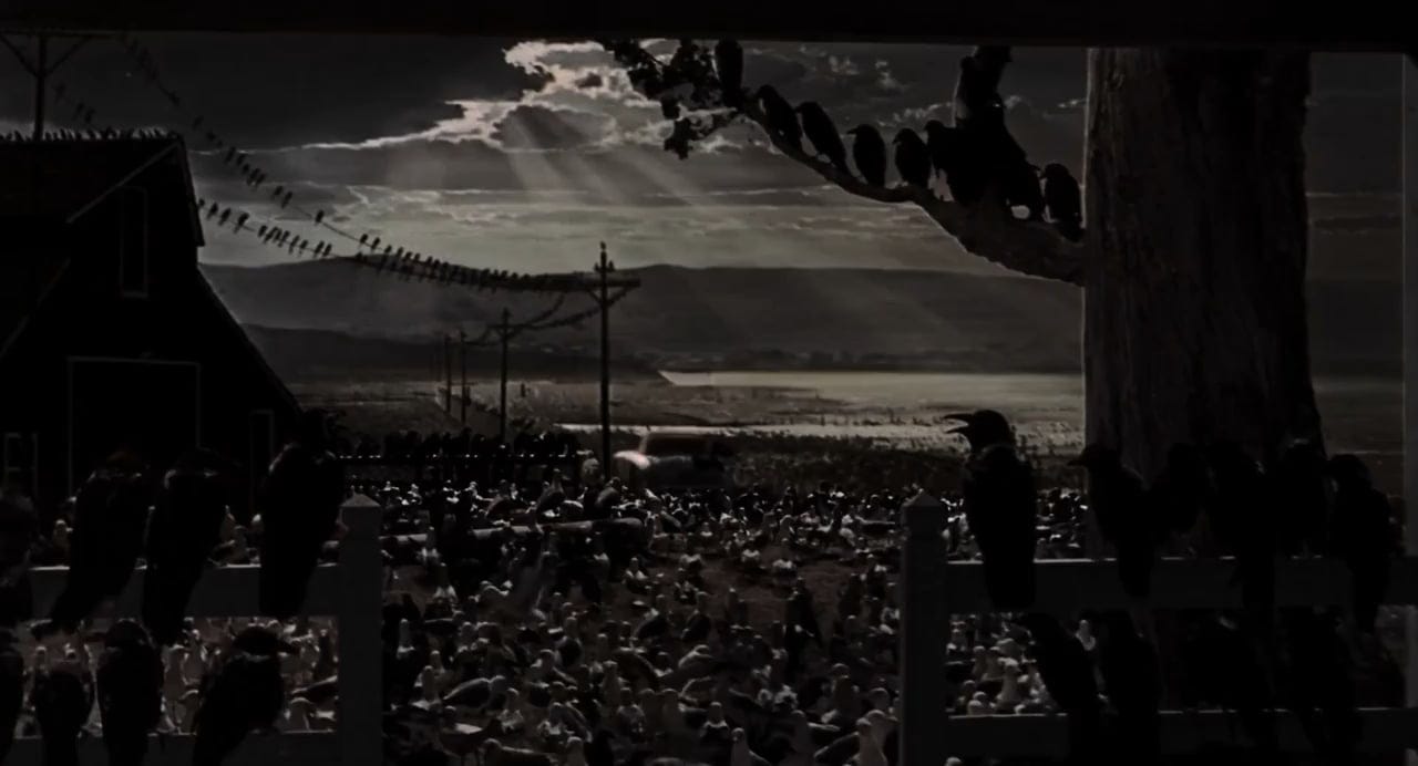 The Birds (1963) directed by Alfred Hitchcock