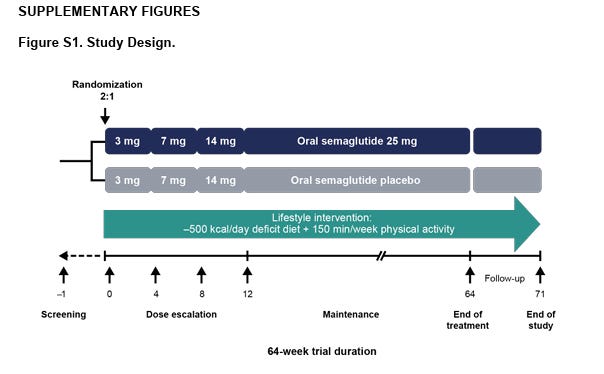 tirzepatide/hydroxocobalamin Tirzepatide with Glycine + B12