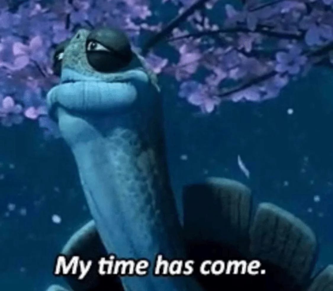 Turtle from Kung Fu Panda saying "my time has come."