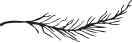 Image of a branch to break the story 