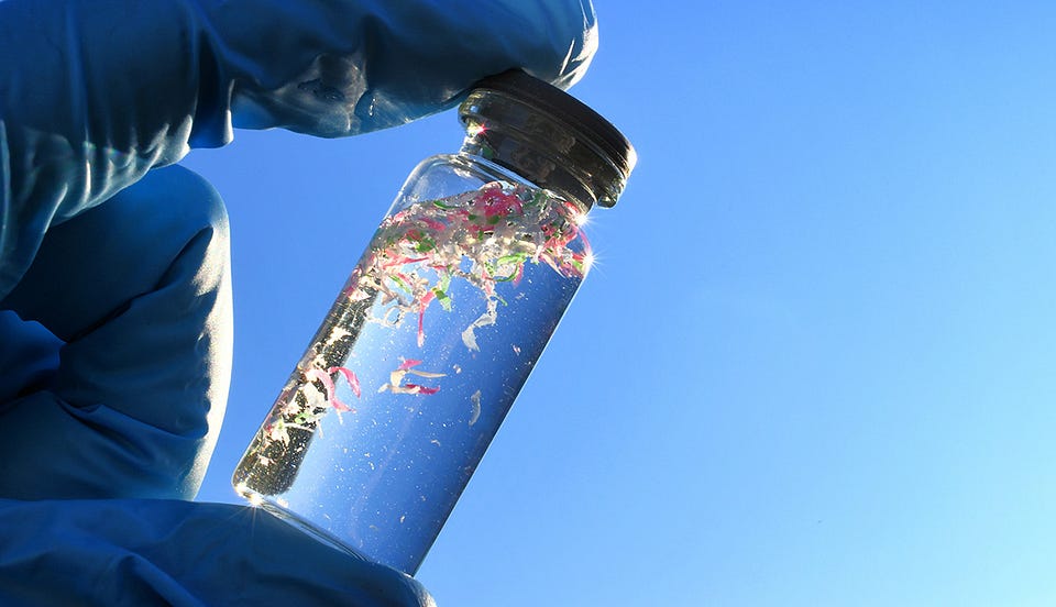 Microplastics: What they are and how you can reduce them | Natural History  Museum