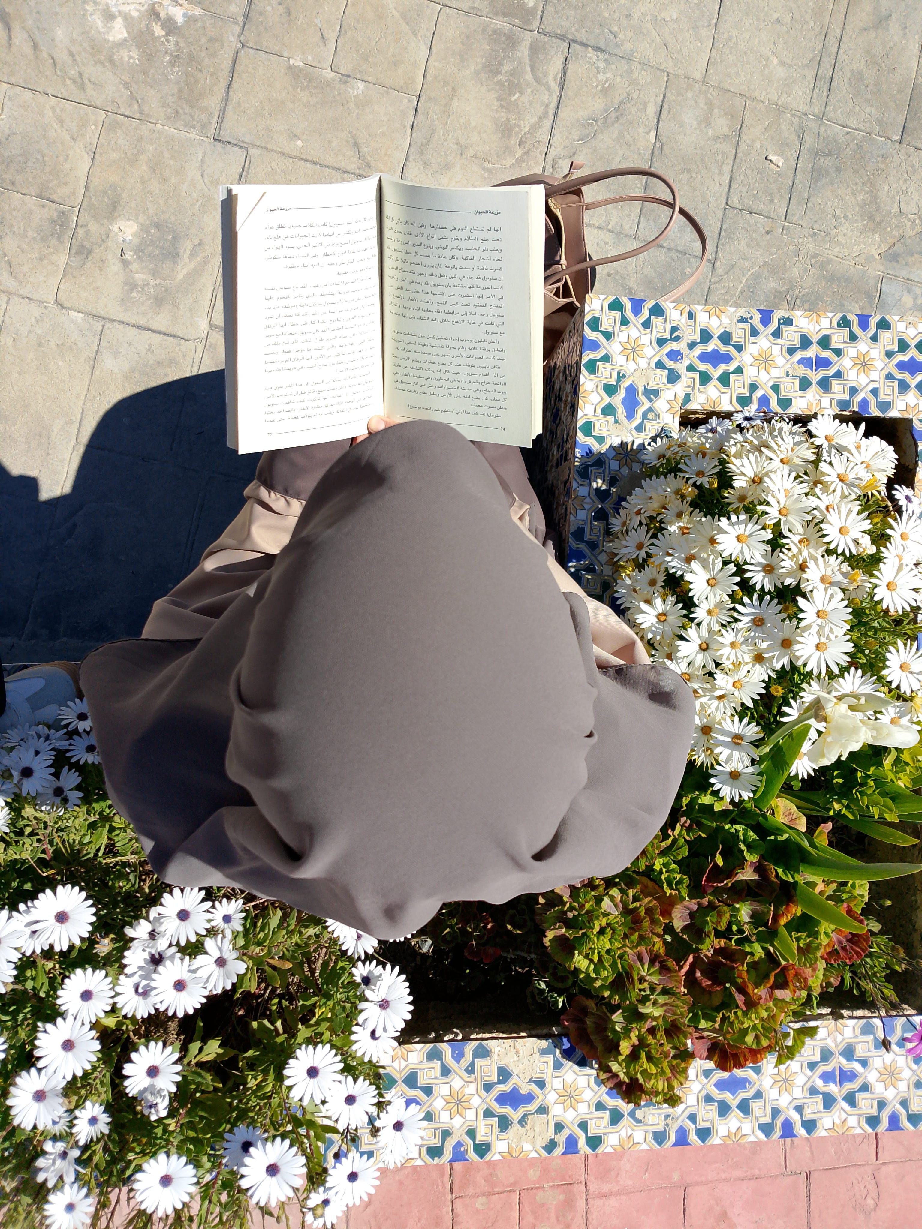 aminabooks ♡