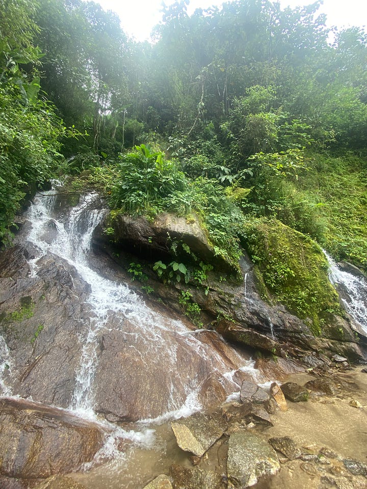 Images of lakes and paddy fields from Arunachal