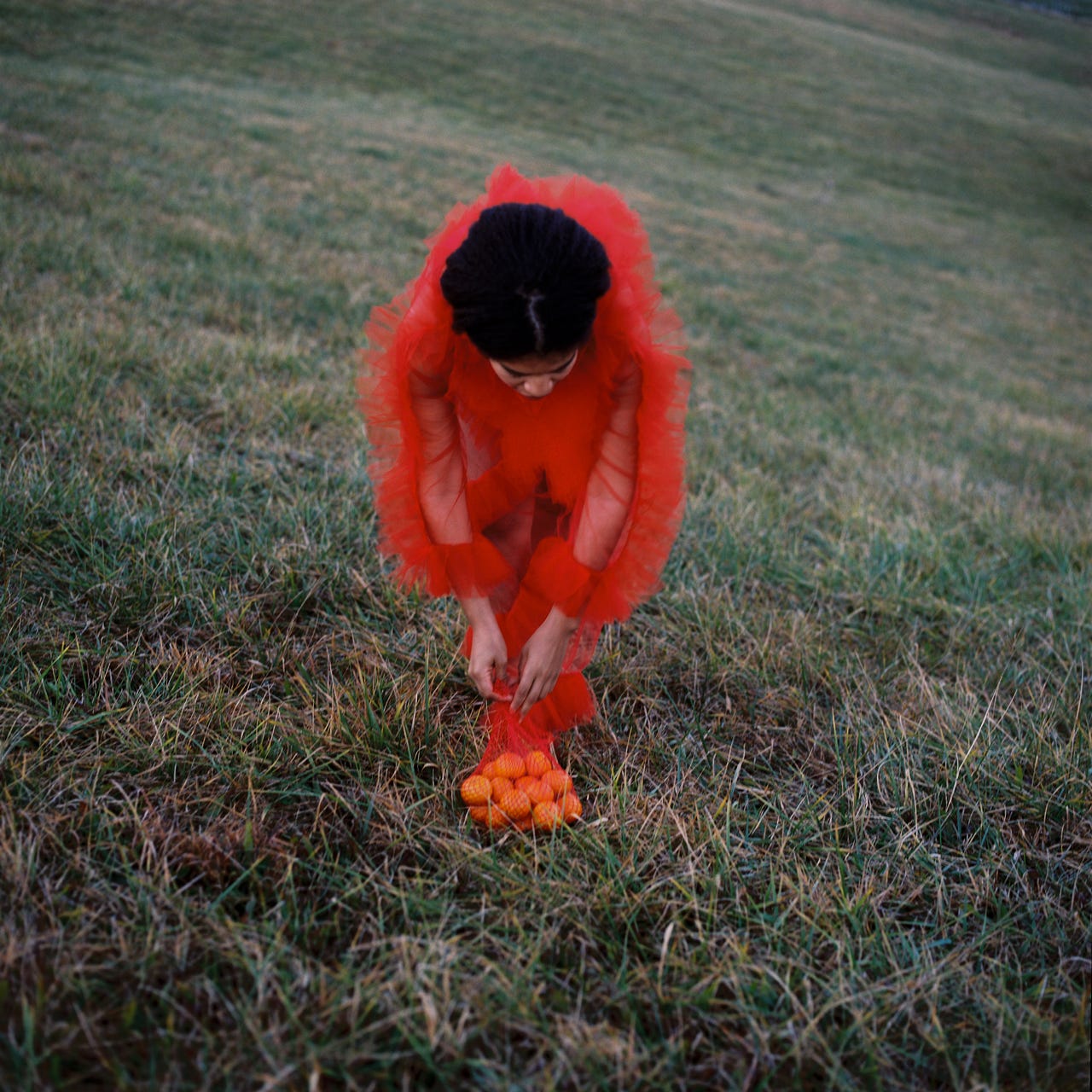 Classes & Events with Coco Villa