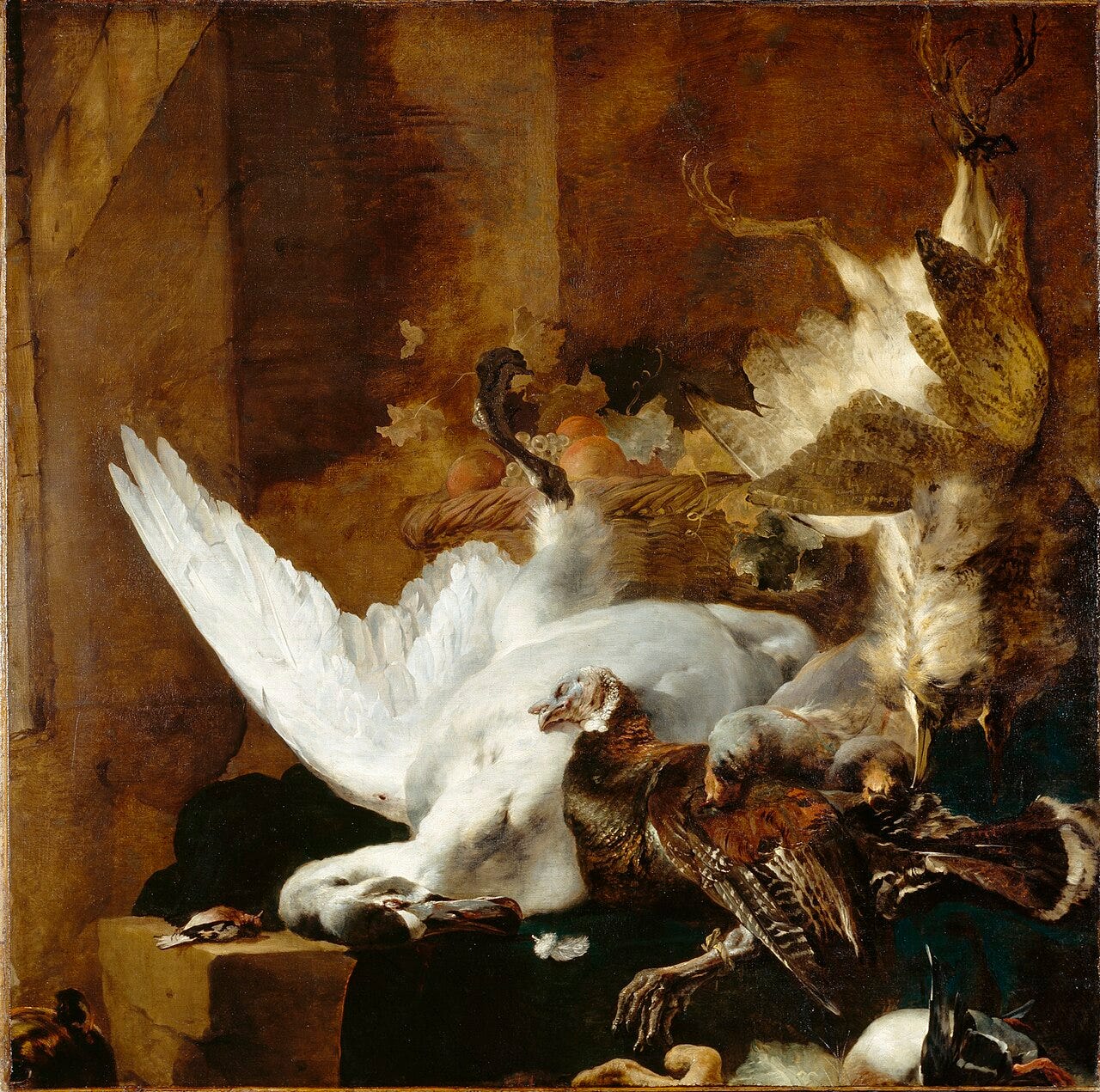A dead white swan hanging by one leg with wings spread A dead white swan hanging by one leg with wings spread