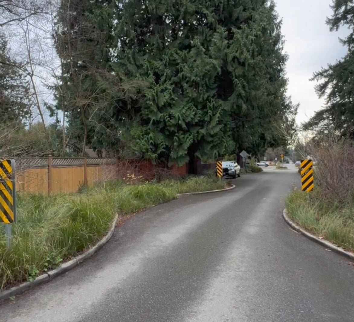 Image 1-13-26 at 16.38.jpeg