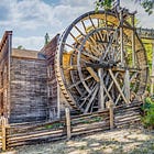 Field Notes: Bothe-Napa Valley State Park’s Birds and Blooms Lead to Bale Grist Mill History