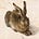 The Hare Report's avatar