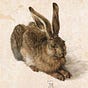 The Hare Report's avatar