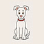 User's avatar