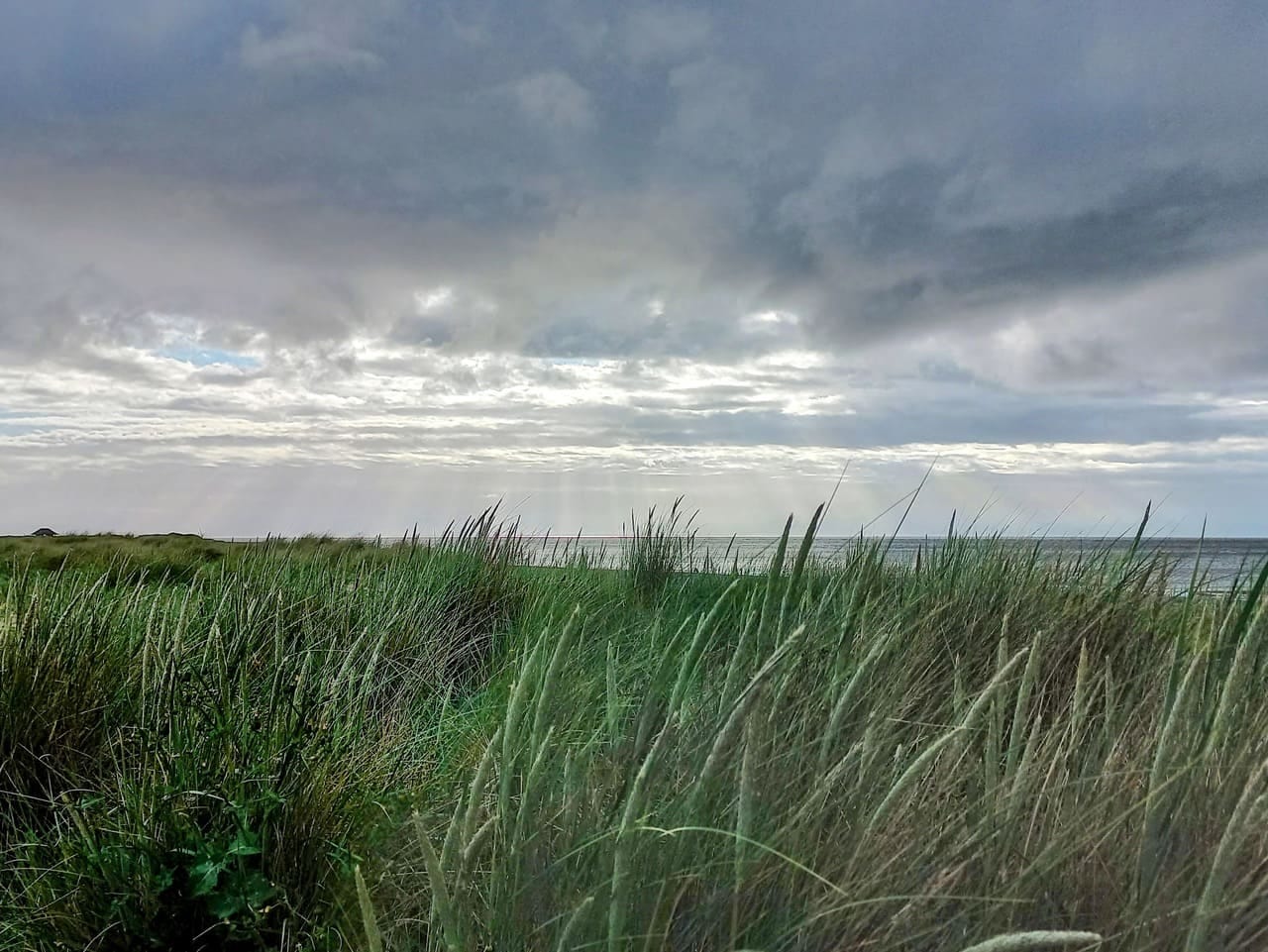 Storm clouds and marram grass