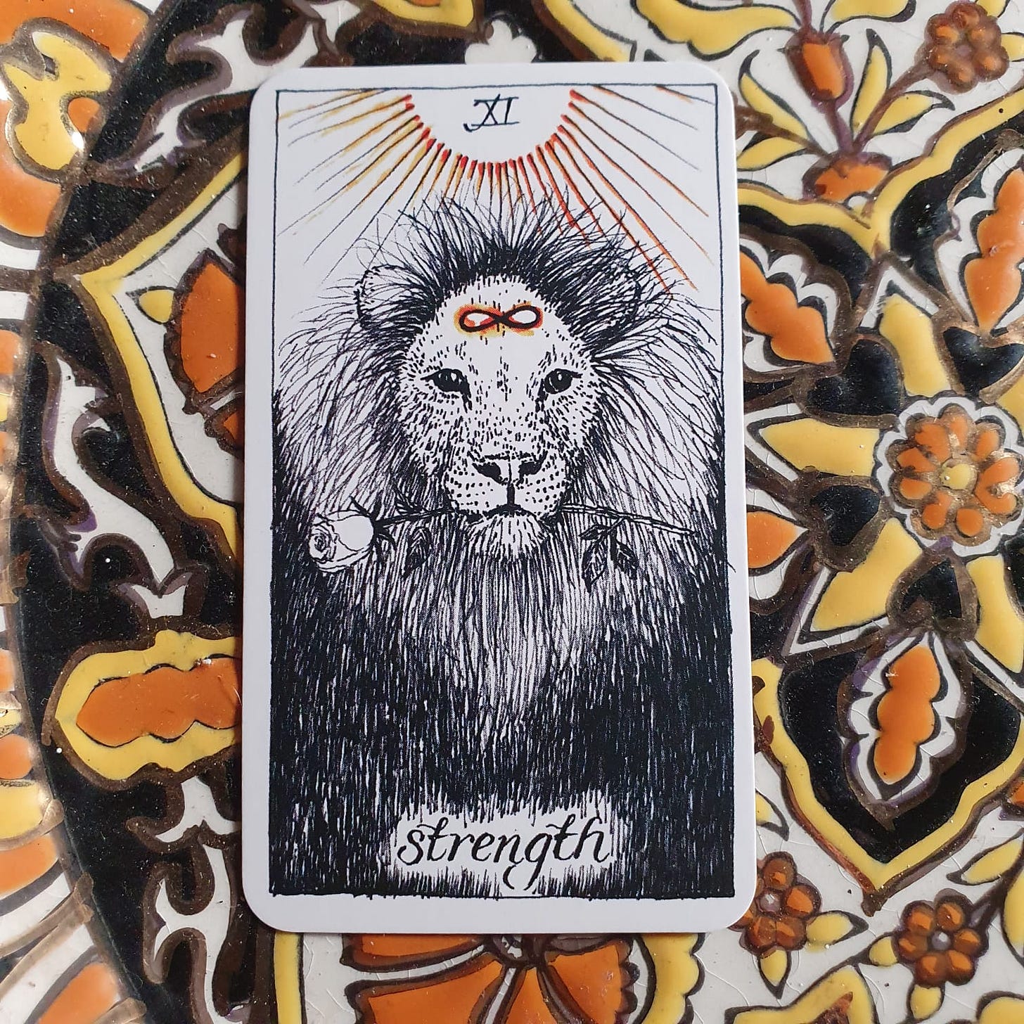 The Strength card from The Wild Unknown deck. A lion has a flower in its mouth