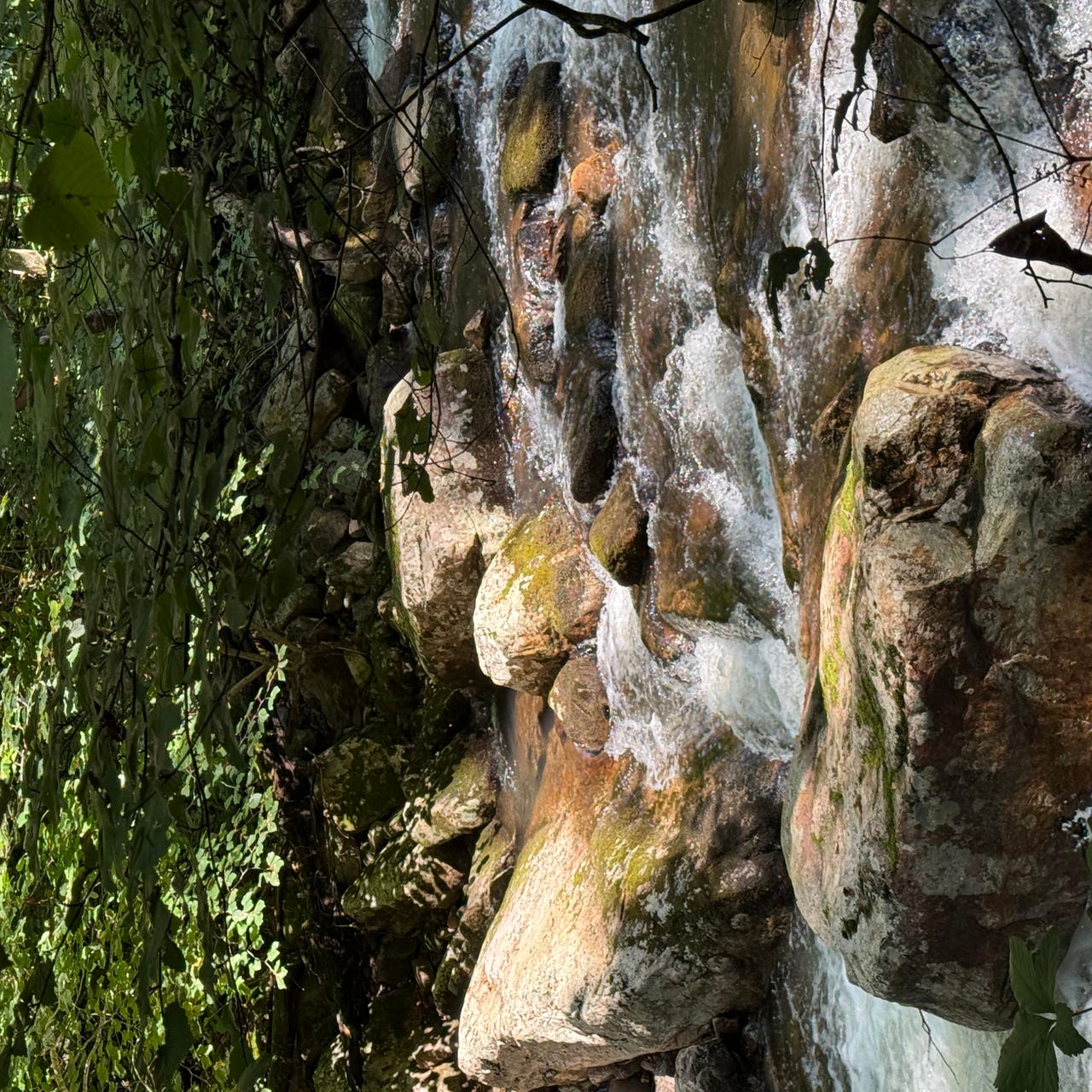 Blue Ridge Fly Guy:  Exploring Fly Fishing & Life