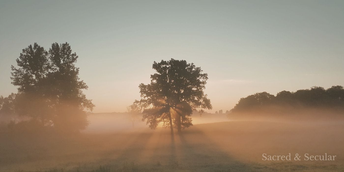 Soft golden sunrise breaking through mist over the Somerset countryside, with fields and trees partially veiled in early morning haze. Soft golden sunrise breaking through mist over the Somerset countryside, with fields and trees partially veiled in early morning haze.