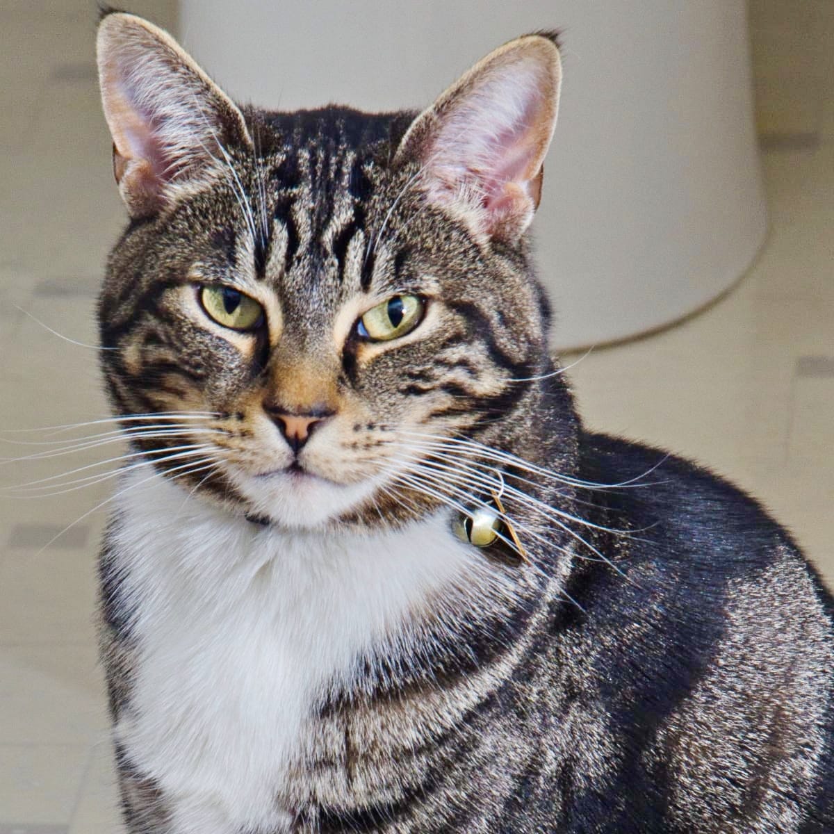 Paul’s Visual Arts