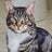 Paul’s Visual Arts